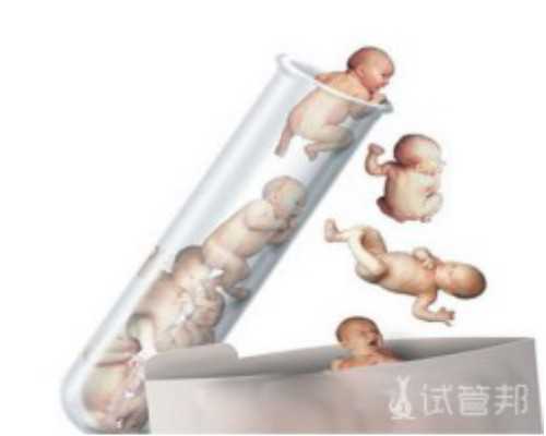 助孕的基本条件是什么,正规试管助孕机构：上海正规助孕机构，国内助孕中心
